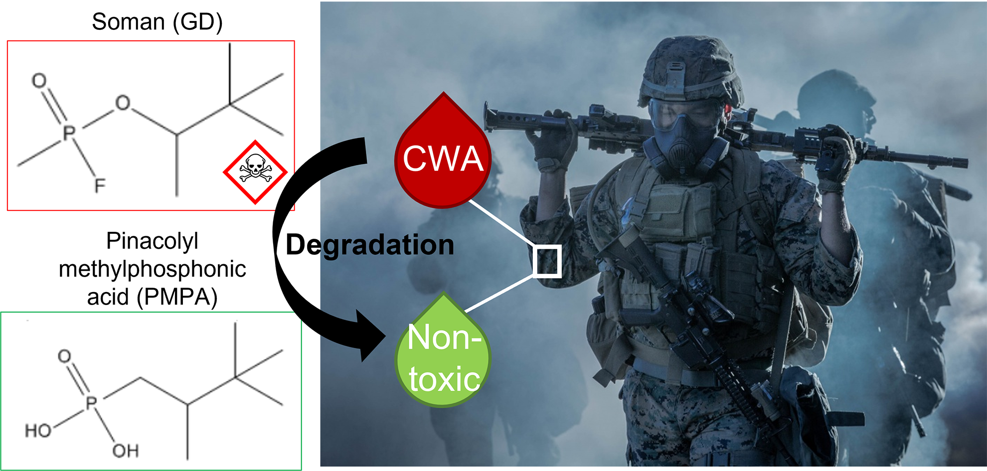 tetramer-partners-with-university-of-south-carolina-researchers-to